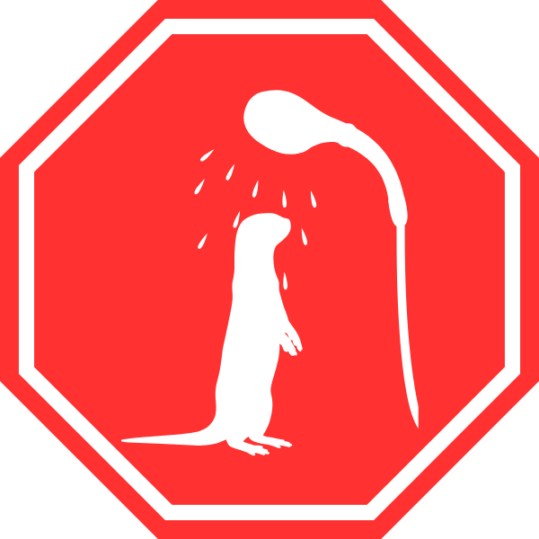 Une loutre qui ne prend pas de douche