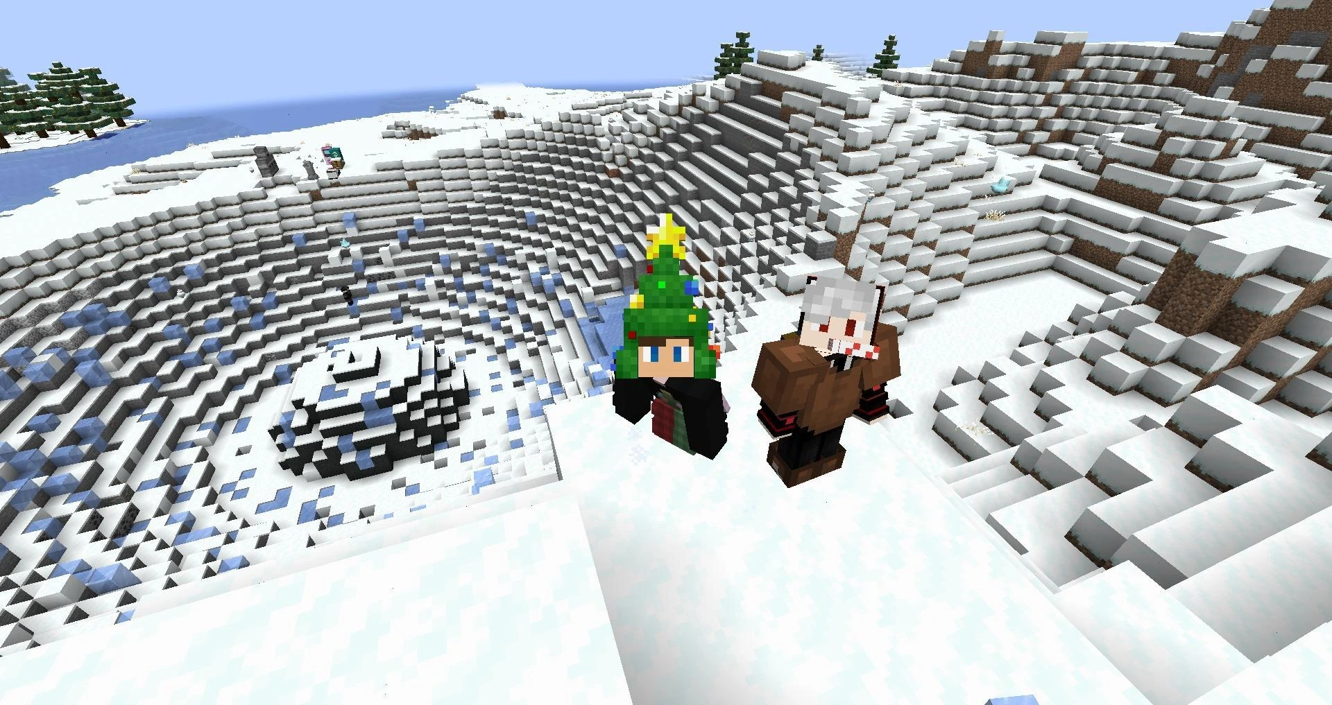 Image du serveur