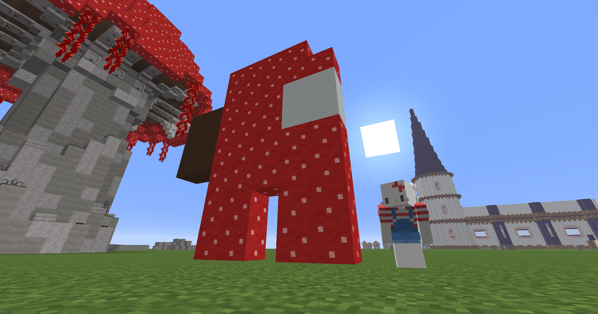 Image du serveur