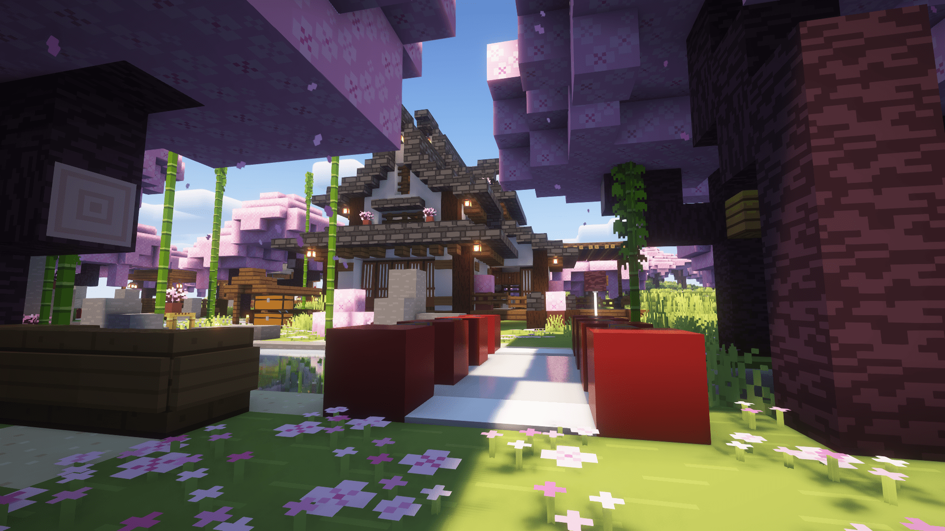 Image du serveur
