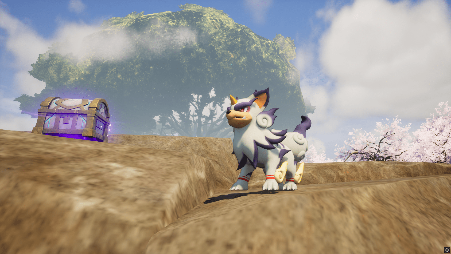 Image du serveur