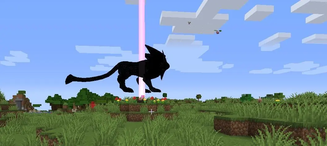 Image du serveur
