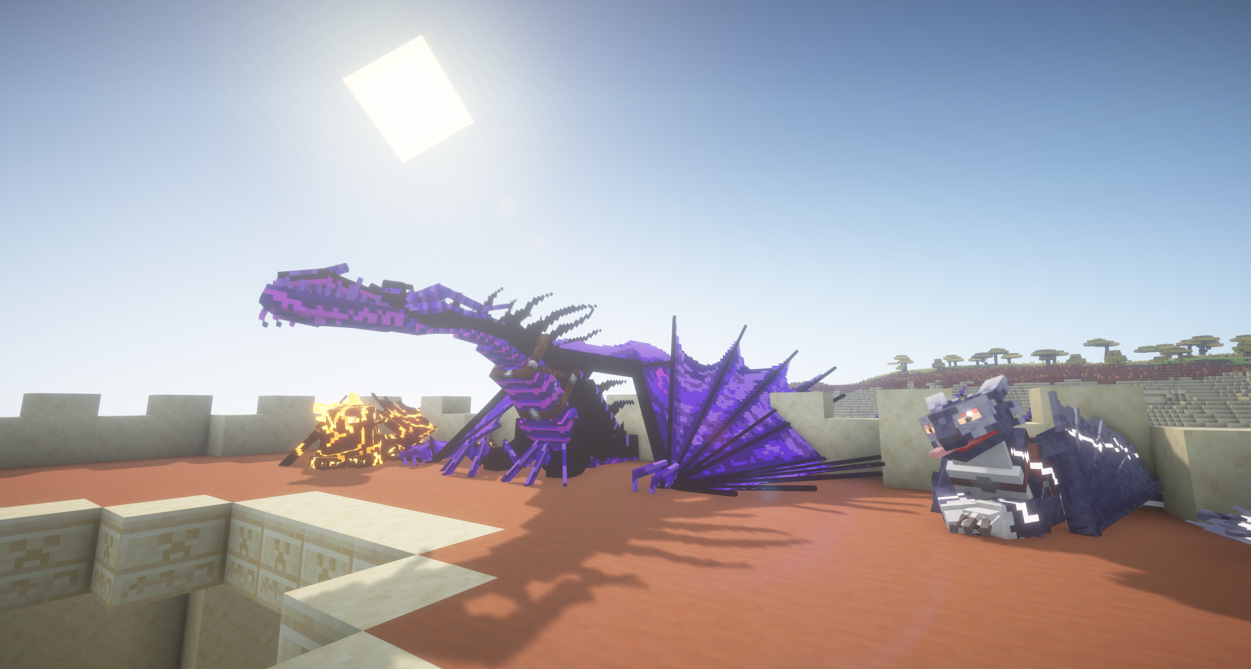 Image du serveur
