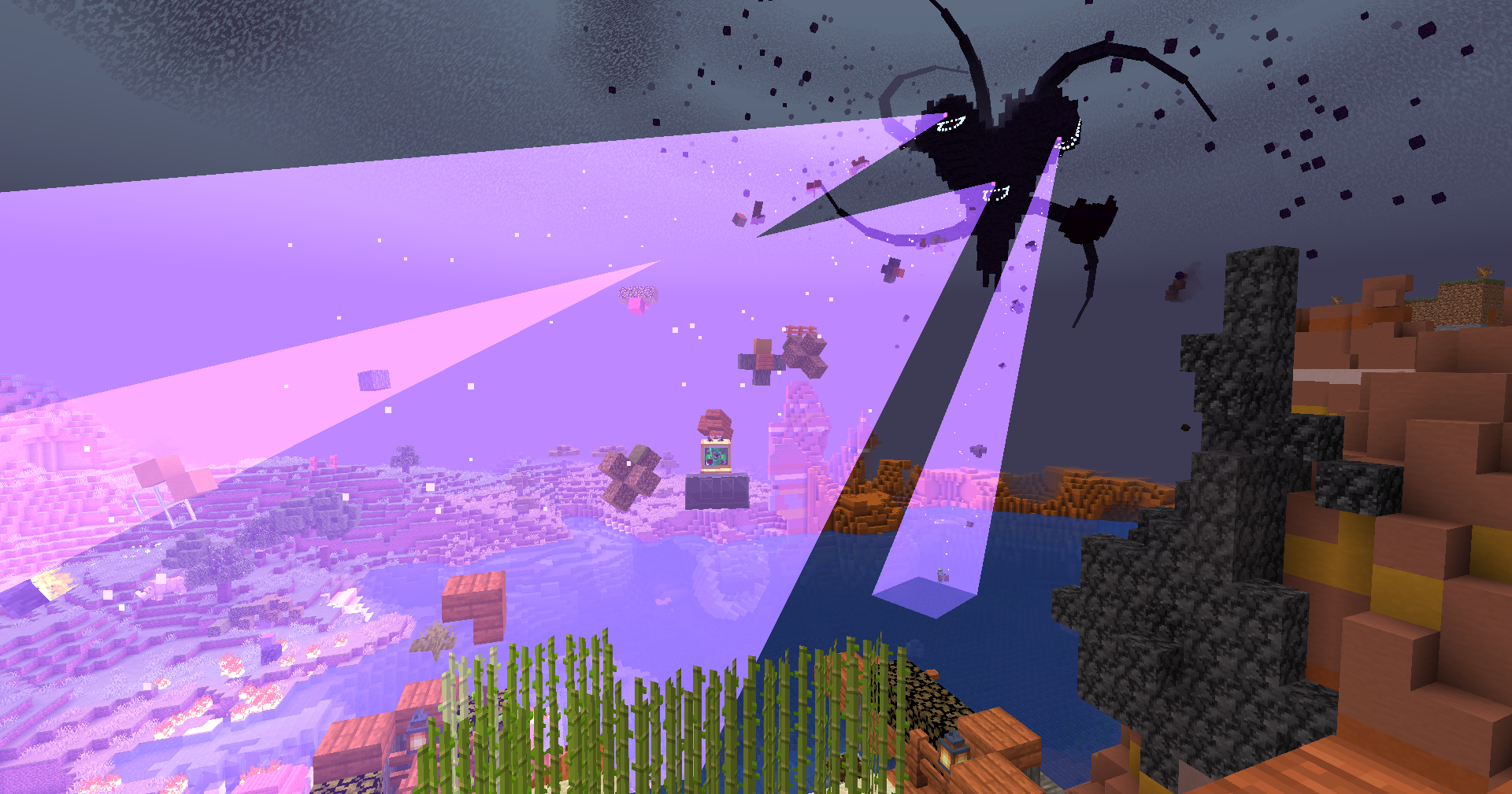 Image du serveur