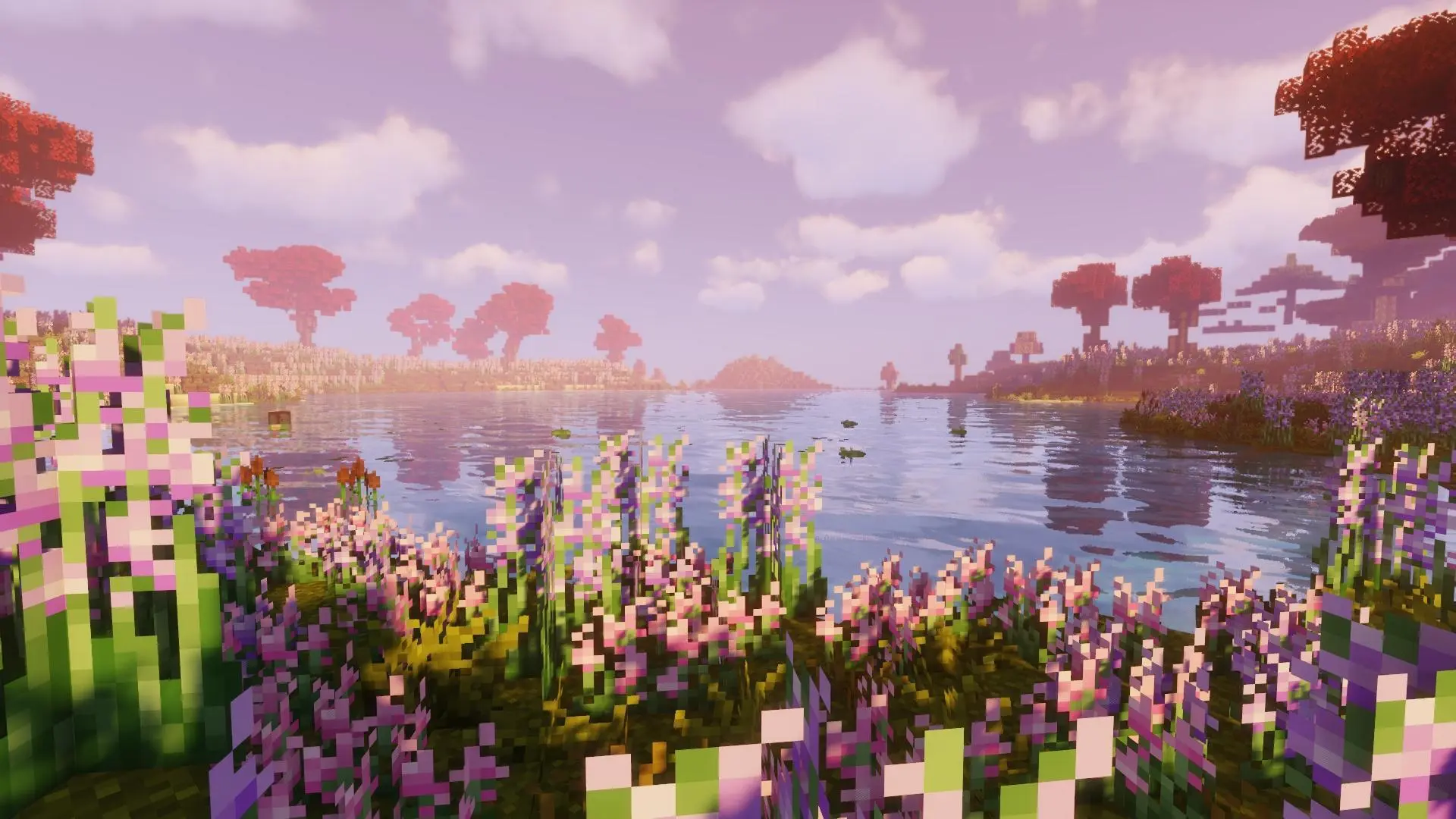 Image du serveur
