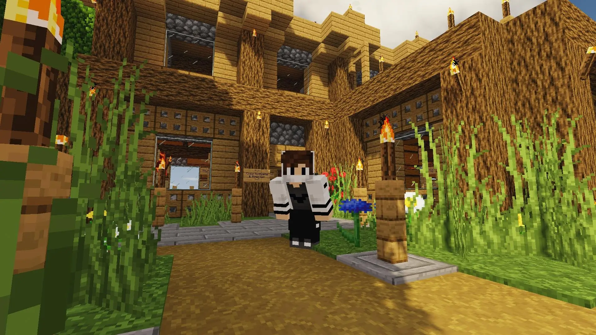 Image du serveur